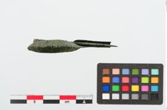Foto von Bronzesanguisugafibel (NHMW-PRAE-025070)
